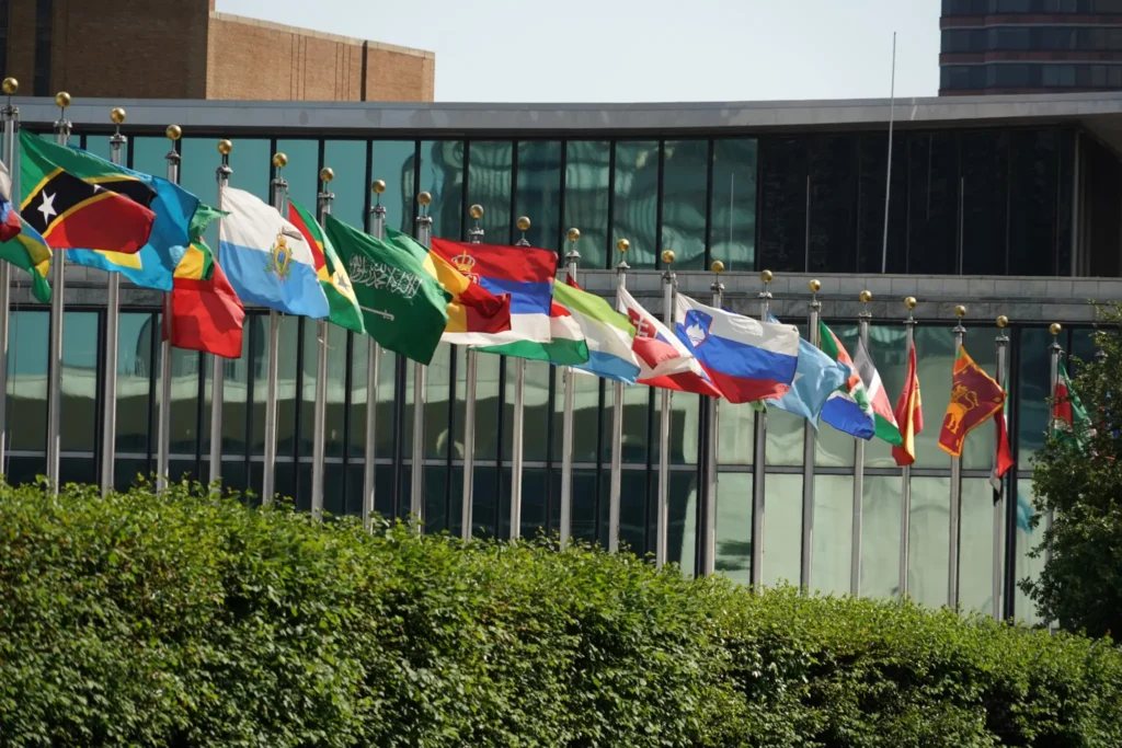 Consular protection and its limits for dual nationals