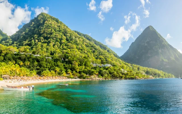 Quốc tịch Saint Lucia: Tùy chọn trái phiếu chính phủ