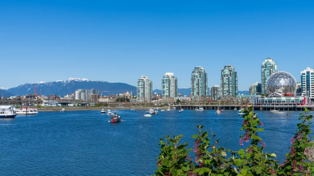 Vịnh False Creek ở Vancouver với tàu thuyền, các tòa nhà cao tầng, mái vòm Science World và núi phủ tuyết phía xa