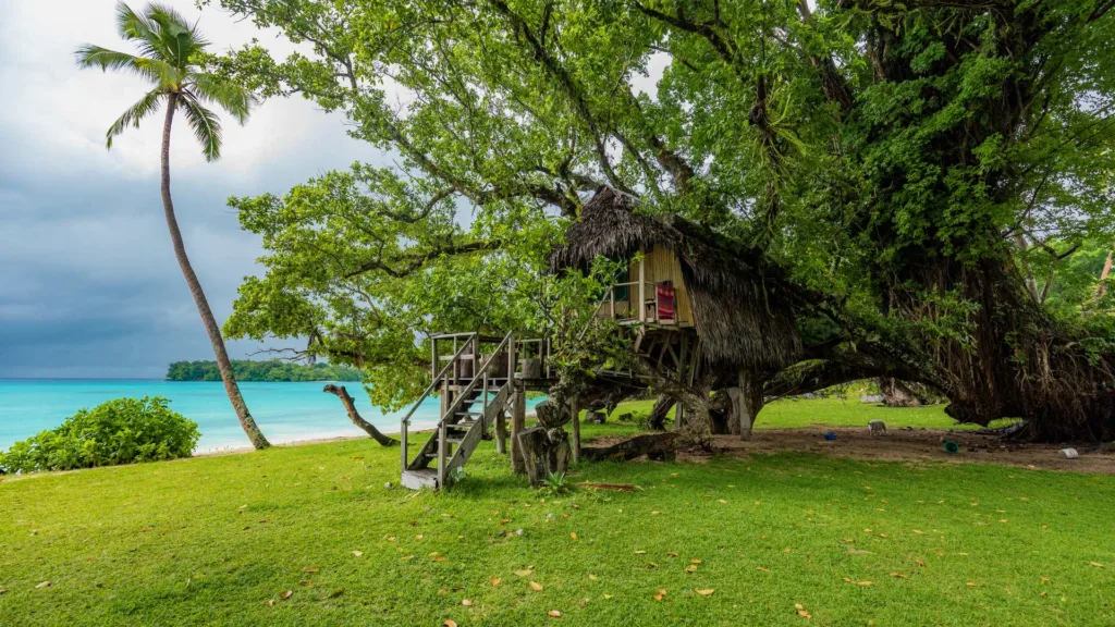 A thatched tree house built into a large spreading tree on a lawn beside a turquoise bay, with a leaning coconut palm, at Port Orly on Espiritu Santo, Vanuatu